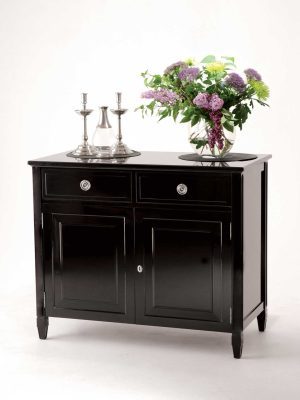 Contemporary Sideboard with Two Doors (C410)